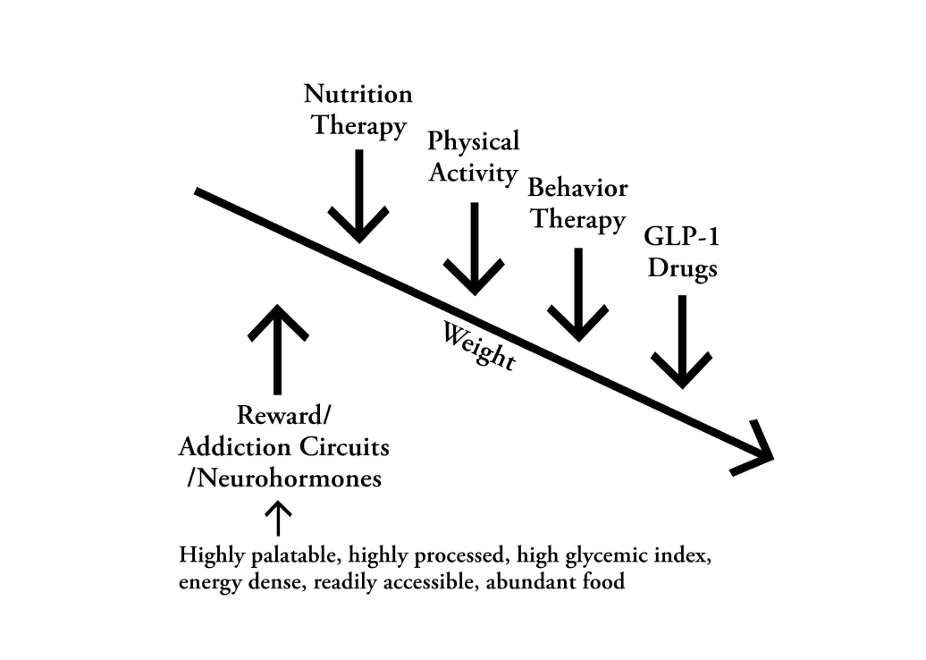 A line going down with different elements pushing it downward. They are: Nutrition Therapy, Physical Activity, Behavior Therapy, GLP-1 Drugs